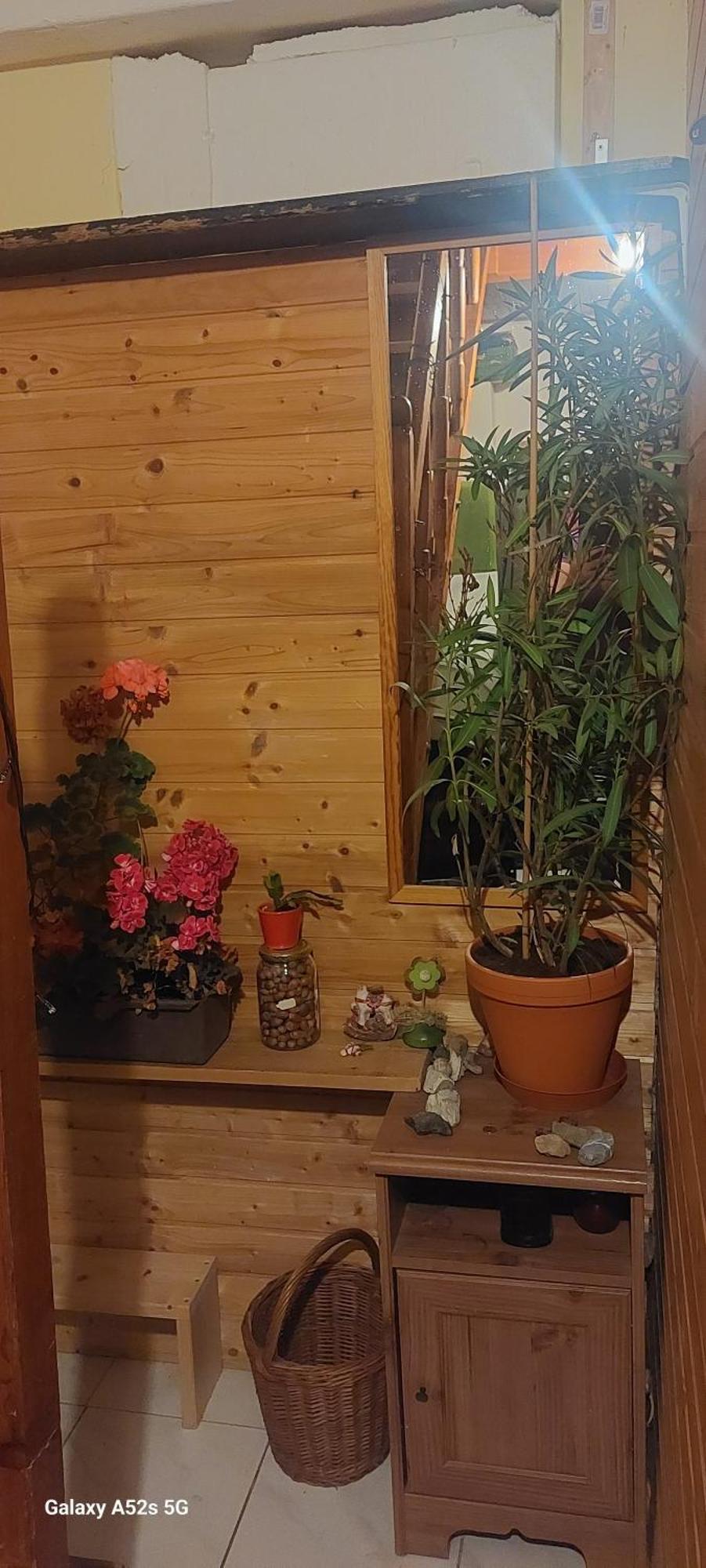 Brno - Apartman V Bohemske Ctvrti Kamenka Eksteriør bilde